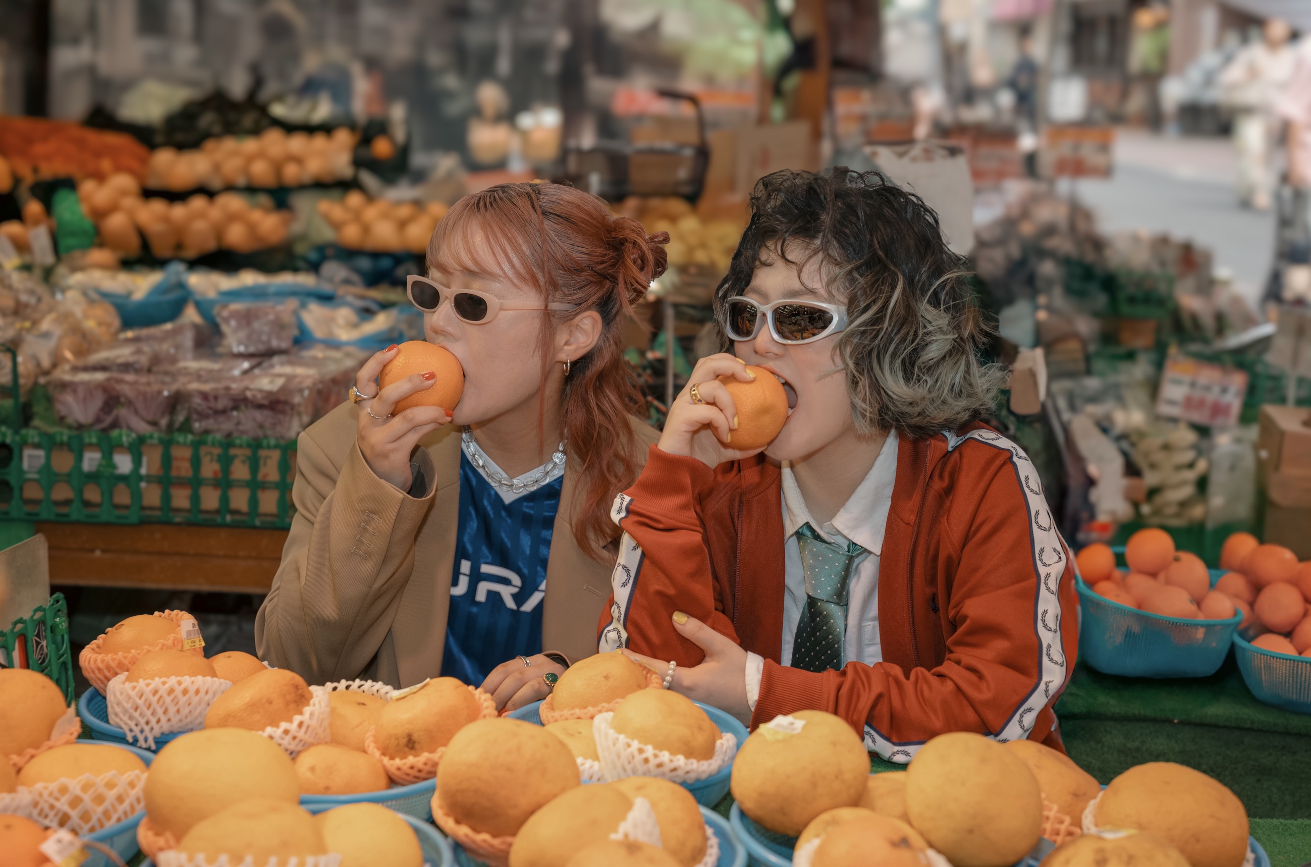 Natsudaidai official site