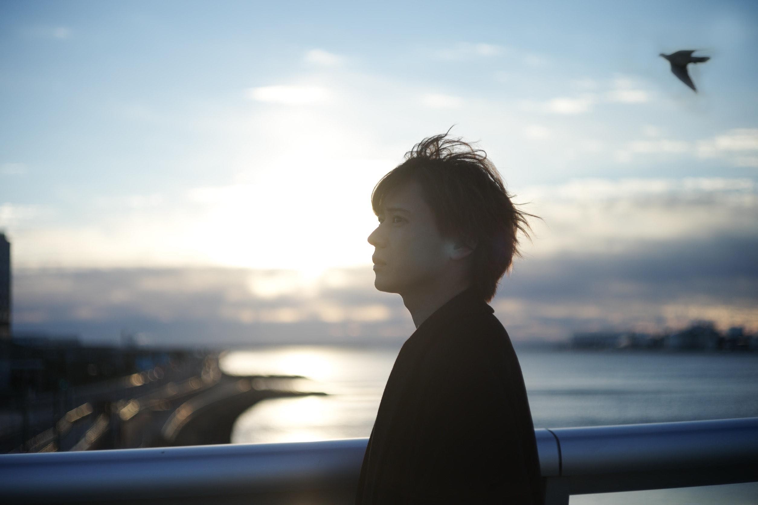 Absolute area Official site
